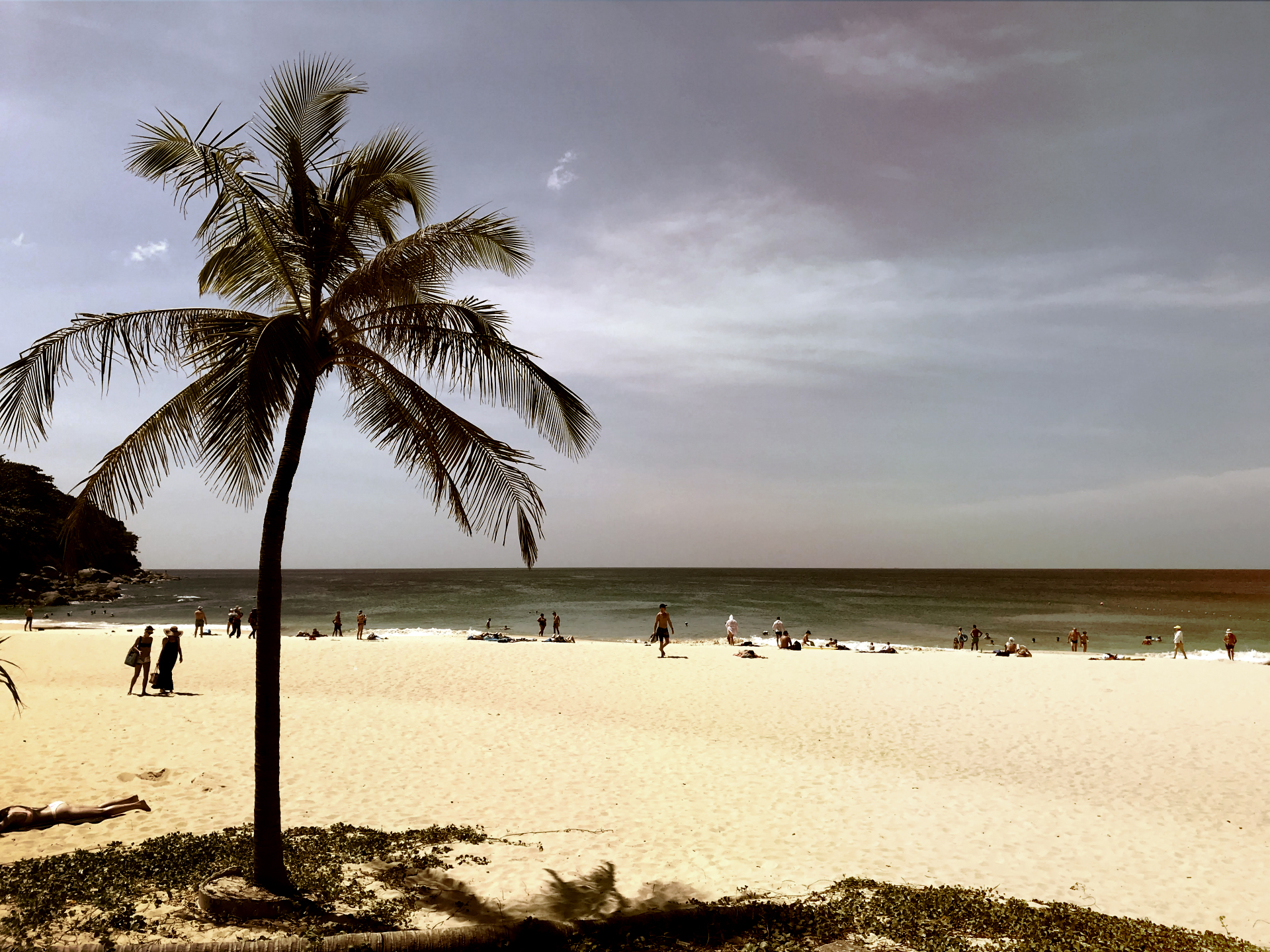 有限会社フィールドエム